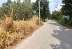 Bán đất rộng 7480m² tại Dương Công Khi, Hóc Môn... Bán đất tại Bà Điểm, Hồ Chí Minh 03