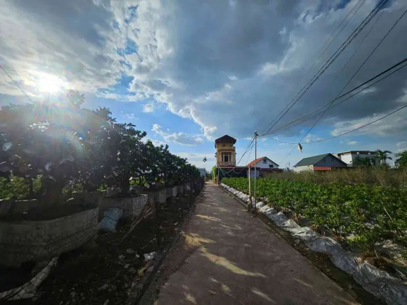 Lô Đất Vàng Văn Giang - Đường Ô Tô 7 Chỗ, Giá Mềm... Bán đất tại Văn Giang, Hưng Yên 01