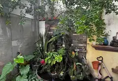 Cơ hội sở hữu nhà 2 tầng hướng Đông Nam tại An Hội Tây, đáng giá từng mét vuông... Bán nhà riêng tại An Hội Tây, Hồ Chí Minh 04