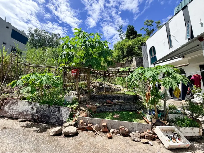 Cơ hội sở hữu đất ô góc 3 mặt thoáng gần trường Hà Lầm - diện tích 60m²... Bán đất tại Hà Lầm, Quảng Ninh 01