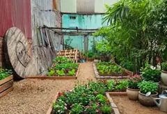 Bán đất 62m² hướng Nam tại Phù Khê, Thành phố Từ Sơn, Bắc Ninh... Bán đất tại Phù Khê, Bắc Ninh 01