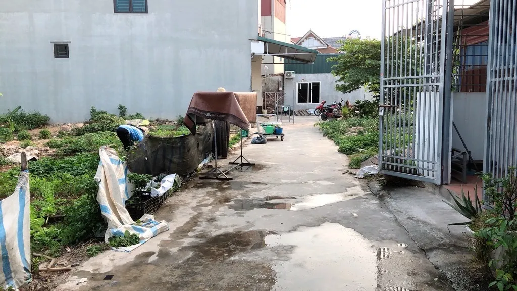 Bán đất - Xuân Bách - Quang Tiến - Gần KCN và Sân Bay tại Quang Tiến - Nội Bài - Sóc Sơn... Bán đất tại Nội Bài, Hà Nội 01