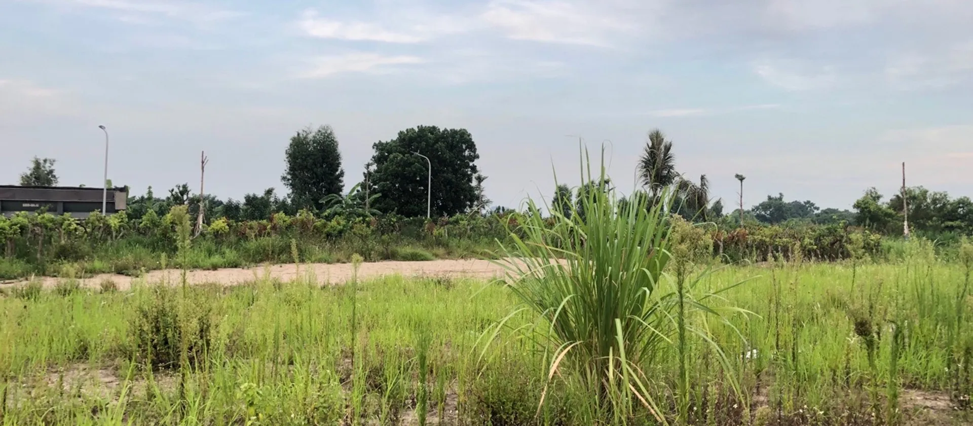 🔥 HÀNG HOT XÃ HOÀN LONG – LÔ ĐẤT ĐẸP 95M² – ĐỐI DIỆN TRƯỜNG MẦM NON – SÁT CỤM CÔNG NGHIỆP CÔNG NGH... Bán đất tại Yên Mỹ, Hưng Yên 01