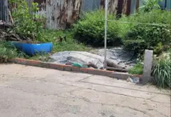 Bán đất 5x22, Đông Thạnh , Hóc Môn 106m2 giá 3,x tỷ... Bán đất tại Đông Thạnh, Hồ Chí Minh 08