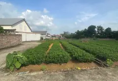 BÁN ĐẤT - PHÙ LINH - SÓC SƠN - NGÕ THÔNG - Ô TÔ - GẦN ĐỀN SÓC - SÂN GOLD - GIÁ TỐT... Bán đất tại Sóc Sơn, Hà Nội 01