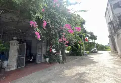 Bán đất thổ cư 75m2 mặt tiền 5m hướng Nam tại Võ Nguyên Giáp, quận Đông Anh... Bán đất tại Phúc Thịnh, Hà Nội 04