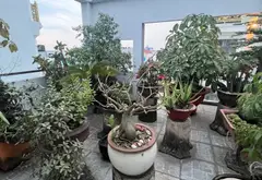 Nhà 4 Tầng Tại Hương Lộ 2 - Sát Bệnh Viện Bình Tân!... Bán nhà riêng tại Bình Tân, Hồ Chí Minh 10