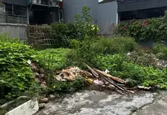 Lô Đất Vàng Đường Cát Linh - Vị Trí Vàng Cho Nhà Đầu Tư Thông Minh... Bán đất tại Hải An, Hải Phòng 04