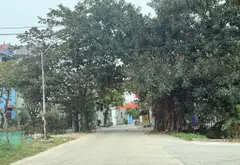 Bán đất xã Sóc Sơn diện tích 80m2 - Vị trí đẹp - giá tốt - gần. Sân Bay... Bán đất tại Sóc Sơn, Hà Nội 03