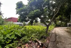 Đất Vuông Vắn Mặt Tiền Rộng Gần Cổng Sau KCN Tràng Duệ 3, Tiềm Năng Phát Triển Cao... Bán đất tại An Lão, Hải Phòng 03