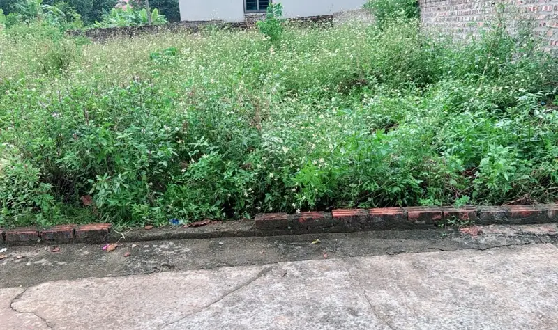 Đất thổ cư 80m² ngay thôn Chùa Nấu, Sóc Sơn giá tốt... Bán đất tại Nội Bài, Hà Nội 01
