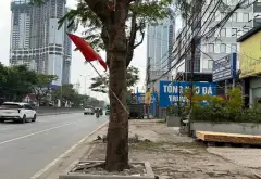 Nhà mặt phố Nguyễn Bỉnh Khiêm - 250m² - 13 tỷ... Bán nhà mặt phố tại Đông Hải, Hải Phòng 02