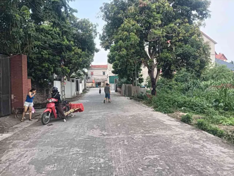 Bán đất thổ cư 100,5 m2 tại xã Thắng Hữu, mặt tiền rộng, pháp lý chuẩn... Bán đất tại Kim Anh, Hà Nội 01