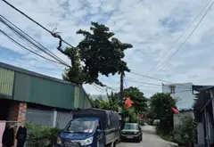 LÔ GÓC 2 MẶT TIỀN 184M² – ĐƯỜNG Ô TÔ TRÁNH TẠI CẨM PHÚ HƠN 1 TỶ... Bán nhà riêng tại Cửa Ông, Quảng Ninh 03