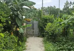 Bán nhà riêng 1 tầng hướng Đông Nam tại xã Thiên Hương, Thủy Nguyên, Hải Phòng, diện tích 420 m²... Bán nhà riêng tại Thiên Hương, Hải Phòng 15