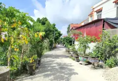 Bán đất vuông vắn mặt tiền 5m tại Phùng Dị, Ngọc Xá... Bán đất tại Quế Võ, Bắc Ninh 03