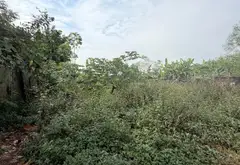 Cơ hội hiếm khó tin - đất đẹp sát mặt tiền Dương Công Khi giá chỉ 1.1 tỷ... Bán đất tại Bà Điểm, Hồ Chí Minh 03