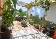 Nhà mặt phố 4 tầng, 4PN, gần sân bay Tân Sơn Nhì giá 21 tỷ... Bán nhà mặt phố tại Tân Sơn Nhì, Hồ Chí Minh 13