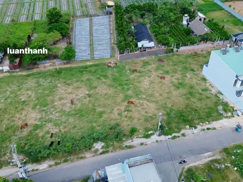 Bán nhà mặt phố xã Bà 🚨 5 LÔ ĐẤT PHAN VĂN HỚN – XUÂN THỚI 20, diện tích 120 m², pháp lý rõ ràng... Bán nhà mặt phố tại Bà Điểm, Hồ Chí Minh 01