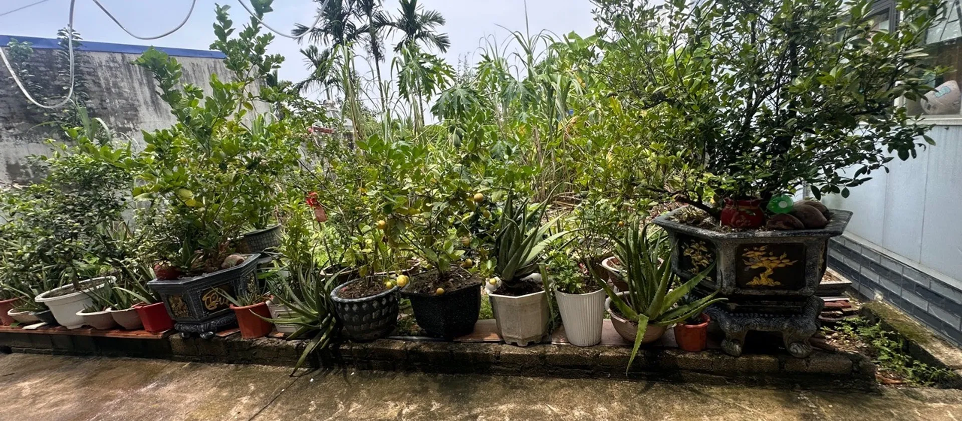 Khu Đất Đầu Tư Sang Trọng Tại Trung Tâm Phường Kiến An... Bán đất tại Phù Liễn, Hải Phòng 01