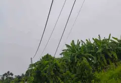 Lô đất vị trí thuận lợi tại phường Thiên Hương, Hải Phòng... Bán đất tại Thiên Hương, Hải Phòng 09