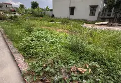 Siêu phẩm 109 m Đông , xã Nội Bài, Hà Nội... Bán đất tại Nội Bài, Hà Nội 02