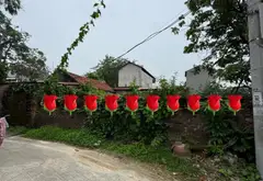 Cơ hội sở hữu đất thổ cư 2 mặt ngõ tại Kim Anh, Sóc Sơn, Hà Nội... Bán đất tại Kim Anh, Hà Nội 01