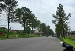Bán đất KĐT Nam Từ Sơn, TP Từ Sơn, Bắc Ninh, diện tích 120 m2, hướng Đông, gần quảng trường... Bán đất tại Từ Sơn, Bắc Ninh 04