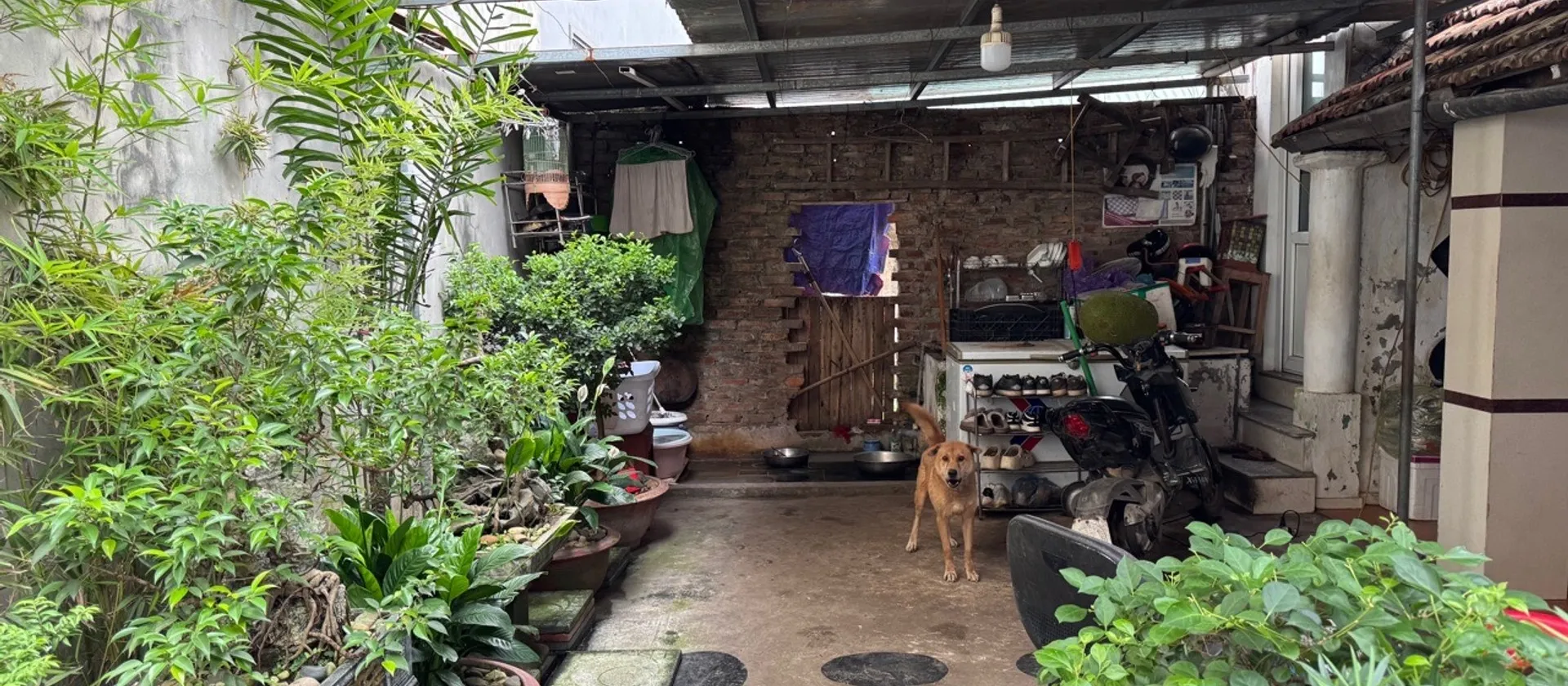 Bán đất tặng nhà ngay ĐH Công Nghiệp, Dt 82,6m2, Mt lớn, phù hợp xây Ccmn, hoặc ở rộng cực sướng.... Bán nhà riêng tại Tây Tựu, Hà Nội 01