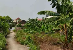 Cơ hội hiếm có sở hữu lô đất thổ cư đẹp tại thôn Đan Kim, Văn Giang... Bán đất tại Văn Giang, Hưng Yên 05