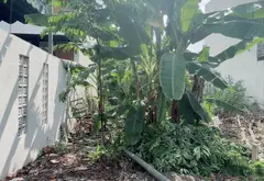 CHỦ GẤP – GIẢM 100TR – CÒN 4,7 TỶ 🔥

🏡 ĐẤT ĐẸP NGUYỄN DUY TRINH – LONG TRƯỜNG-82m- xe hơi tránh... Bán đất tại Long Trường, Hồ Chí Minh 02