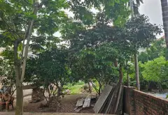 Cơ hội sở hữu lô đất mặt tiền rộng ô tô vào tận nơi tại Ngọc Động Bát Tràng với giá cực tốt... Bán đất tại Bát Tràng, Hà Nội 14
