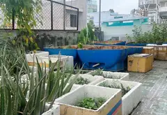 Nhà 5 tầng hẻm xe tải gần công viên Lê Thị Riêng, Tân Bình... Bán nhà mặt phố tại Tân Bình, Hồ Chí Minh 11