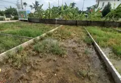 Đất nền vuông vắn, ô tô đi lại thuận tiện tại An Trường, An Lão... Bán đất tại An Trường, Hải Phòng 03