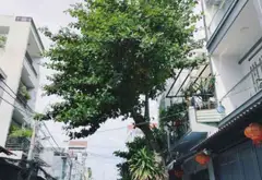Bán nhà mặt phố 4 tầng có sân thượng tại quận Bình Tân, giá 8.5 tỷ... Bán nhà mặt phố tại Bình Hưng Hòa, Hồ Chí Minh 04