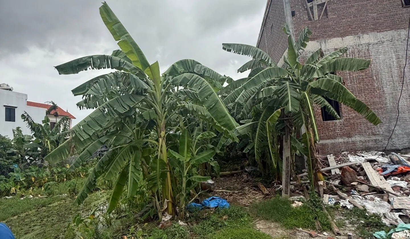 Bán đất mặt ngõ 8m rộng rãi tại Tân Thành, Dương Kinh... Bán đất tại Dương Kinh, Hải Phòng 01