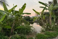 Cơ hội sở hữu khu đất rộng rãi tại Đa Phúc, thích hợp kho xưởng và nhà vườn... Bán đất tại Hưng Đạo, Hải Phòng 06