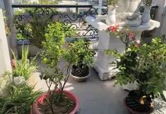 Nhà Hẻm Như Mặt Tiền Nội Bộ KDC Phú Định - Cơ Hội Vàng Cho Gia Đình Lớn... Bán nhà mặt phố tại Phú Định, Hồ Chí Minh 06