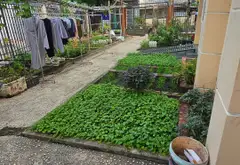 Biệt thự nhà vườn rộng rãi tại quận 12 với vị trí thuận tiện... Bán biệt thự, liền kề tại An Hội Đông, Hồ Chí Minh 11