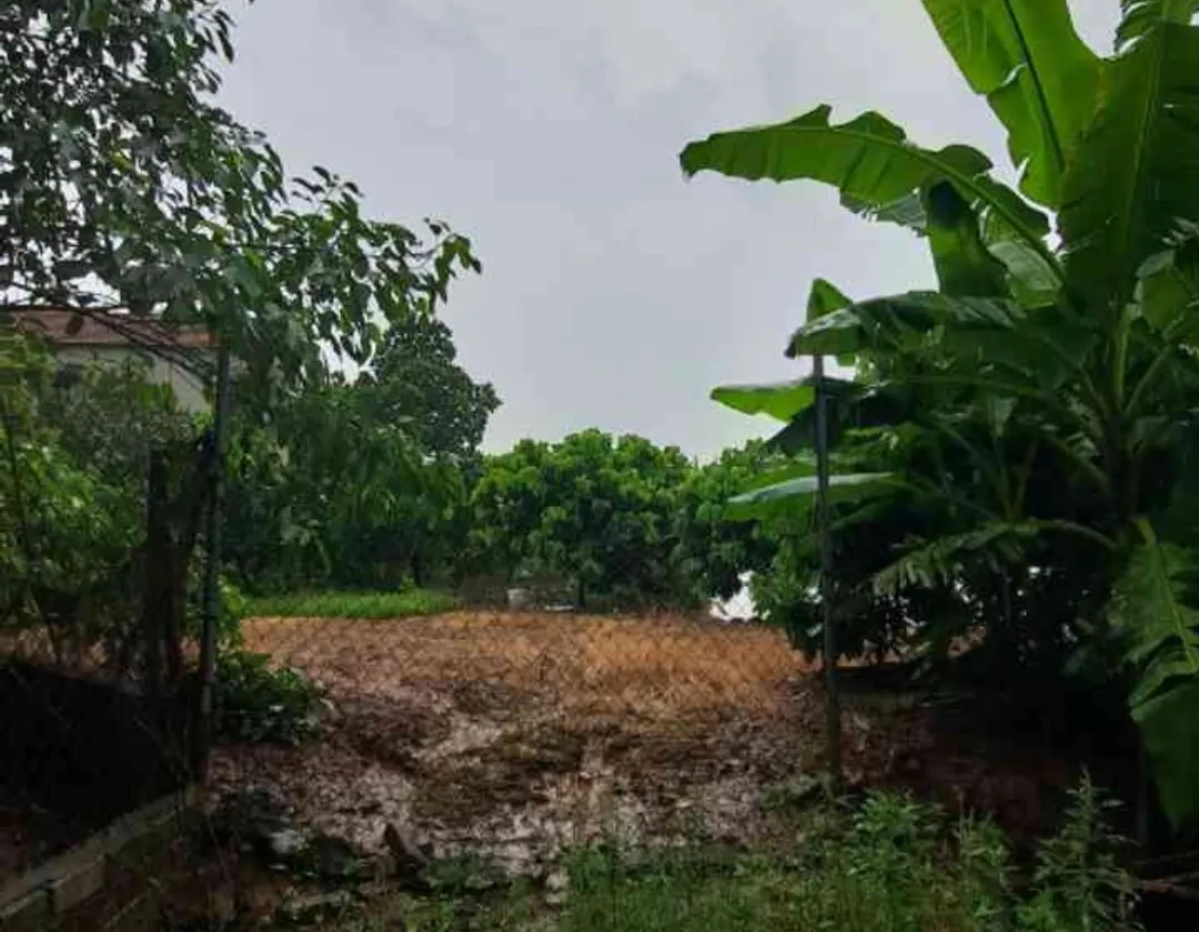 DIỆN TÍCH VỪA PHẢI - KHU DÂN CƯ ĐÔNG ĐÚC GẦN TRƯỜNG HỌC CÁC CẤP , CHỢ - LÔ GÓC FULL THỔ CƯ - PHÙ... Bán đất tại Văn Giang, Hưng Yên 01