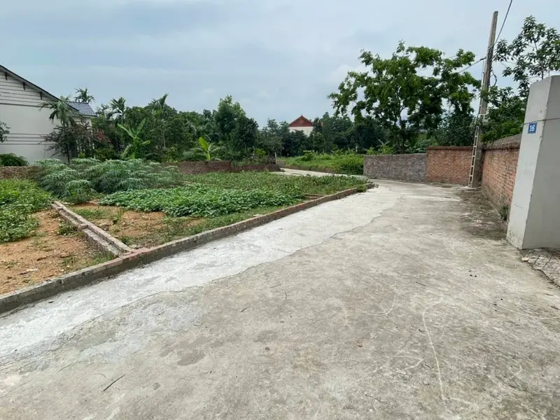 Bán đất 100m2 full thổ cư tại xã Kim Anh, Hà Nội... Bán đất tại Kim Anh, Hà Nội 01