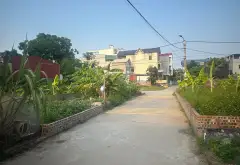Bán đất 51.5m2 Tổ Dân Phố Quang Minh, pháp lý rõ ràng, vị trí tiềm năng... Bán đất tại Quang Minh, Hà Nội 06