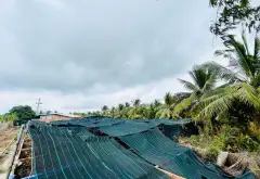 Bán đất CLN được chuyển thổ 2500m2 mặt tiền 50m tại Bình Chánh, đường container tiện đi lại... Bán đất tại Bình Lợi, Hồ Chí Minh 03