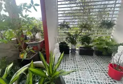 NHÀ 3 TẦNG MT 10M5 – CÁCH BIỂN MỸ KHÊ 500M
0762,658,925
100m² - Sơn Trà, Đà Nẵng - 21.2 tỷ... Bán nhà mặt phố tại Sơn Trà, Đà Nẵng 13
