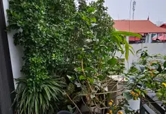 🔥NHÀ ĐẸP 6 TẦNG THANG MÁY - GẦN PHỐ - TIỆN ÍCH - NGÕ THÔNG - NỘI THẤT XỊN - TIỆN ÍCH TUYỆT VỜI... Bán nhà riêng tại Ngọc Hà, Hà Nội 16