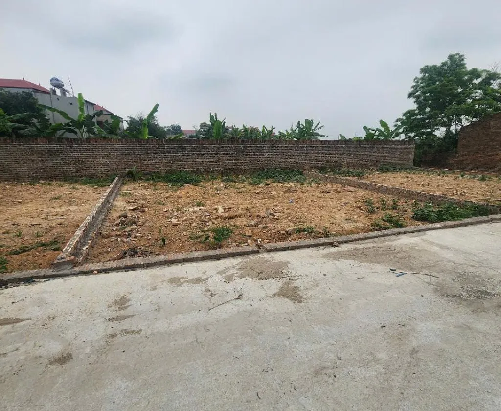Bán lô đất 80m2 mặt ngõ ô tô tránh tại Phù Linh, Sóc Sơn... Bán owner_side tại Sóc Sơn, Hà Nội 01