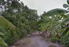 Đất rộng Thích Thiện Hòa, không gian sống đẳng cấp... Bán đất tại Bình Lợi, Hồ Chí Minh 04