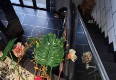 Bán nhà mặt phố góc 2 mặt tiền khu kinh doanh sầm uất tại quận Tân Phú... Bán nhà mặt phố tại Phú Thạnh, Hồ Chí Minh 07