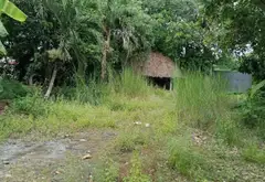 Đất Vườn Lớn Gần Bệnh Viện Nhi Đồng 3 - Cơ Hội Vàng Đầu Tư... Bán đất tại Tân Nhựt, Hồ Chí Minh 07