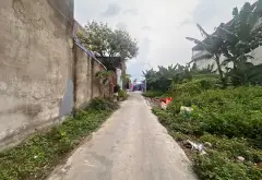 Đất Mặt Đường Kinh Doanh Siêu Đỉnh An Kim Hải... Bán đất tại An Hải, Hải Phòng 05